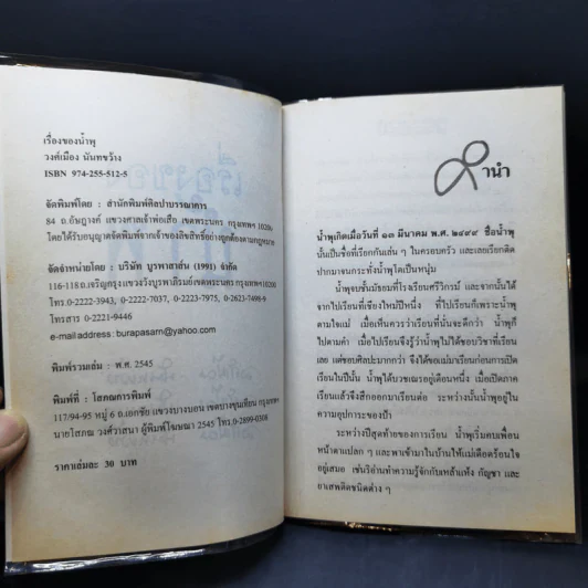 เรื่องของน้ำพุ - วงศ์เมือง นันทขว้าง รูปที่ 9