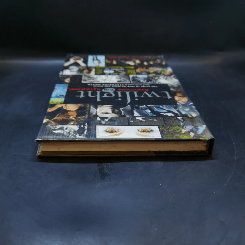 Twilight: Director's Notebook - Catherine Hardwicke รูปที่ 7
