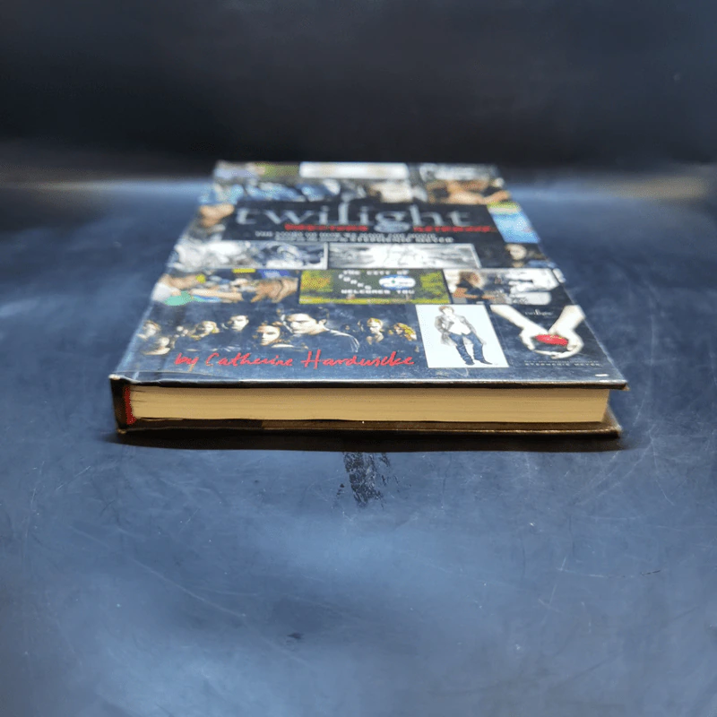 Twilight: Director's Notebook - Catherine Hardwicke รูปที่ 4