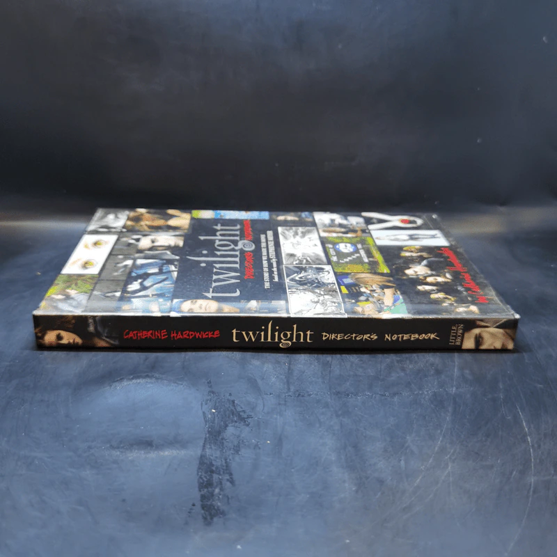 Twilight: Director's Notebook - Catherine Hardwicke รูปที่ 3