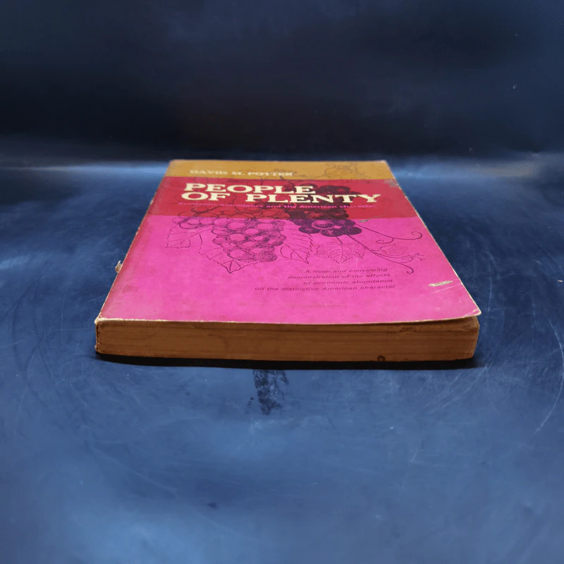 People of Plenty  - Devid M. Potter รูปที่ 4
