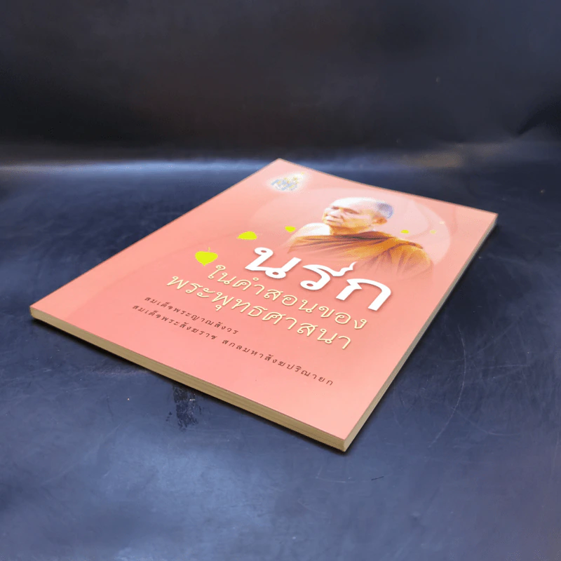 นรกในคำสอนของพระพุทธศาสนา - สมเด็จพระญาณสังวร สมเด็จพระสังฆราช สกลมหาสังฆปริณายก รูปที่ 7