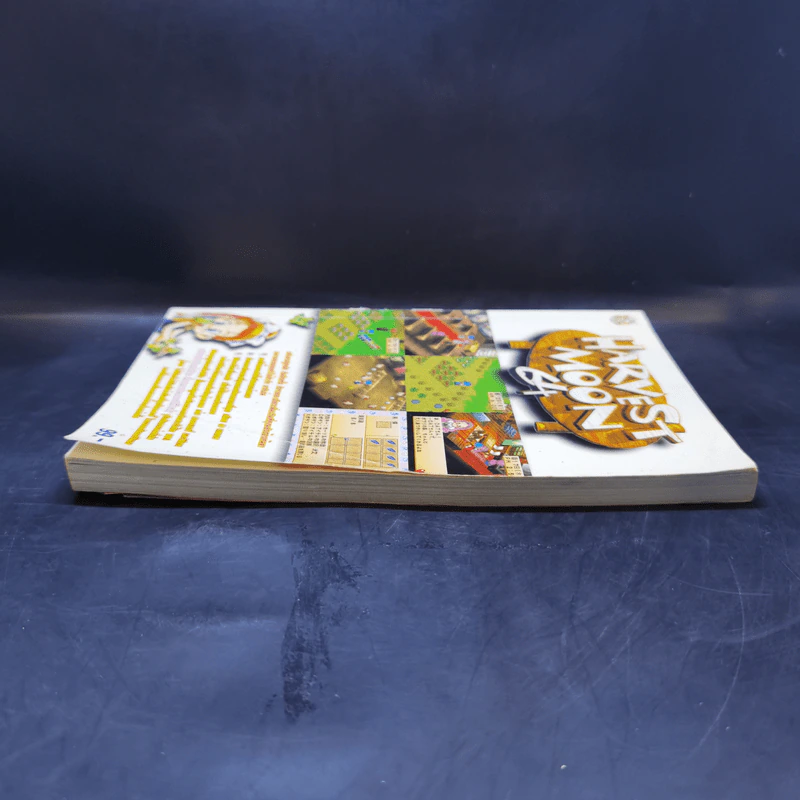 Harvest Moon 64 รูปที่ 5