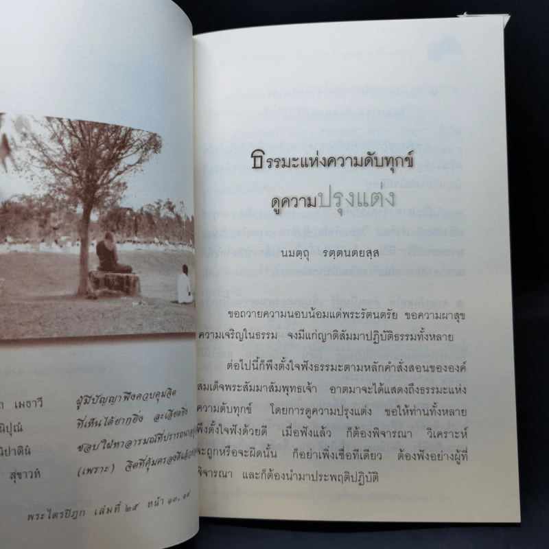 ธรรมะแห่งความดับทุกข์ ดูความปรุงแต่ง - เขมรังสี ภิกขุ รูปที่ 10