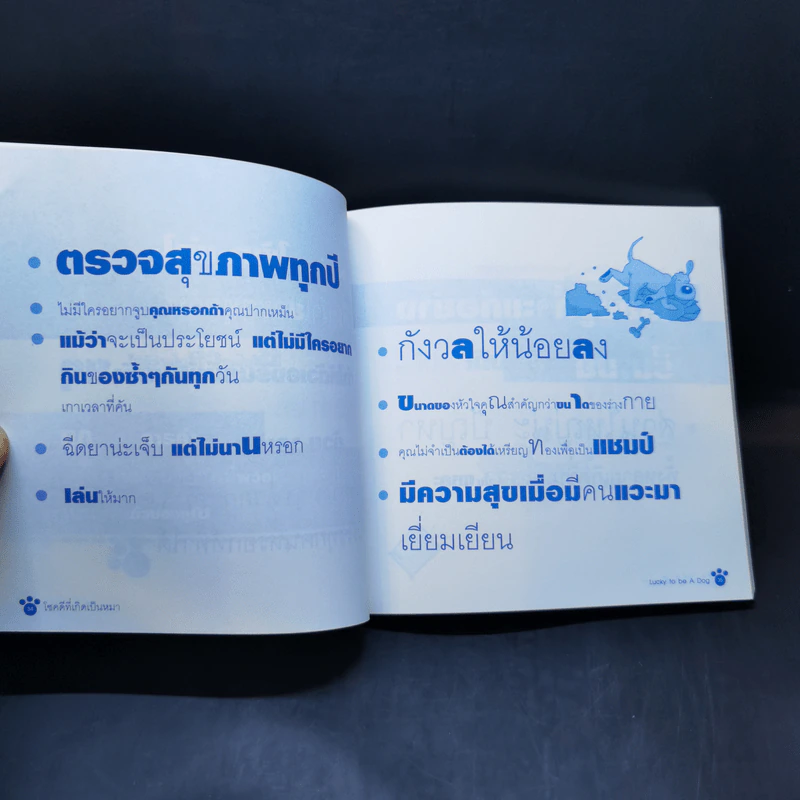Lucky to be โชคดีที่เกิดเป็นหมา - Dogaholic รูปที่ 11