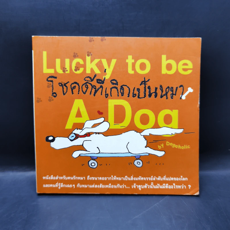 Lucky to be โชคดีที่เกิดเป็นหมา - Dogaholic รูปที่ 1