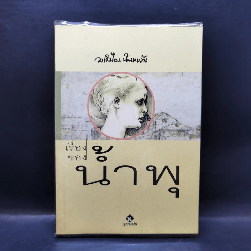 เรื่องของน้ำพุ - วงศ์เมือง นันทขว้าง รูปที่ 1
