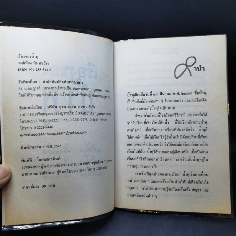 เรื่องของน้ำพุ - วงศ์เมือง นันทขว้าง รูปที่ 9