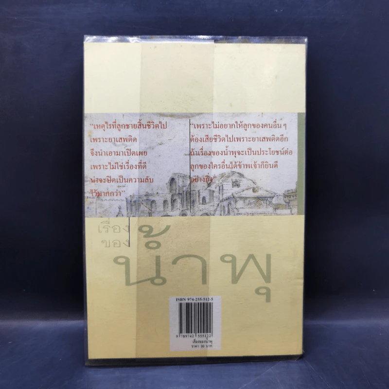 เรื่องของน้ำพุ - วงศ์เมือง นันทขว้าง รูปที่ 2