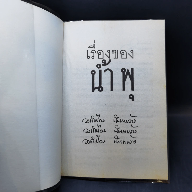 เรื่องของน้ำพุ - วงศ์เมือง นันทขว้าง รูปที่ 8
