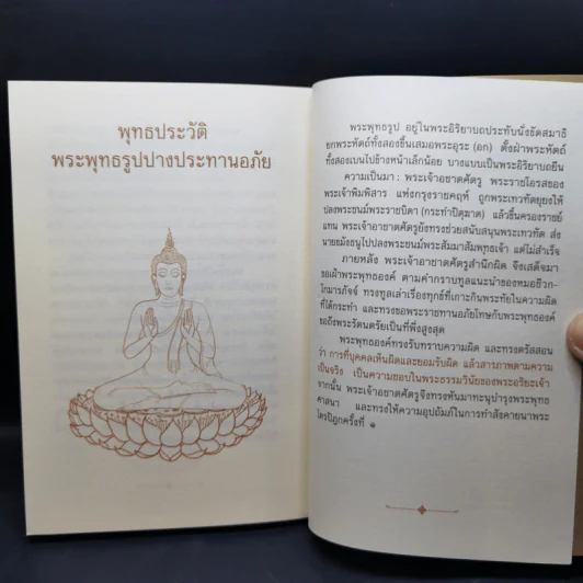 สลายความขัดแย้ง - พระพรหมคุณาภรณ์ (ป.อ.ปยุตโต) รูปที่ 11