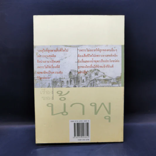 เรื่องของน้ำพุ - วงศ์เมือง นันทขว้าง รูปที่ 2