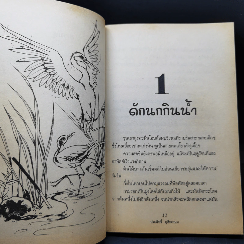 ชีวิตบ้านป่า - ประสิทธิ์ มุสิกเกษม รูปที่ 10