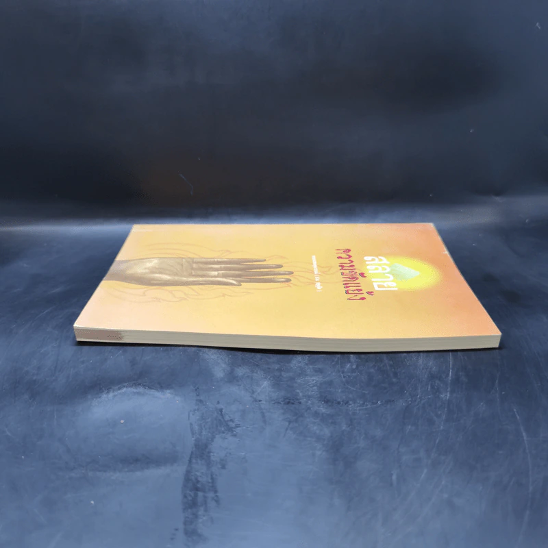 สลายความขัดแย้ง - พระพรหมคุณาภรณ์ (ป.อ.ปยุตโต) รูปที่ 5