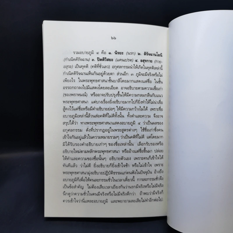 นรกในคำสอนของพระพุทธศาสนา - สมเด็จพระญาณสังวร สมเด็จพระสังฆราช สกลมหาสังฆปริณายก รูปที่ 11