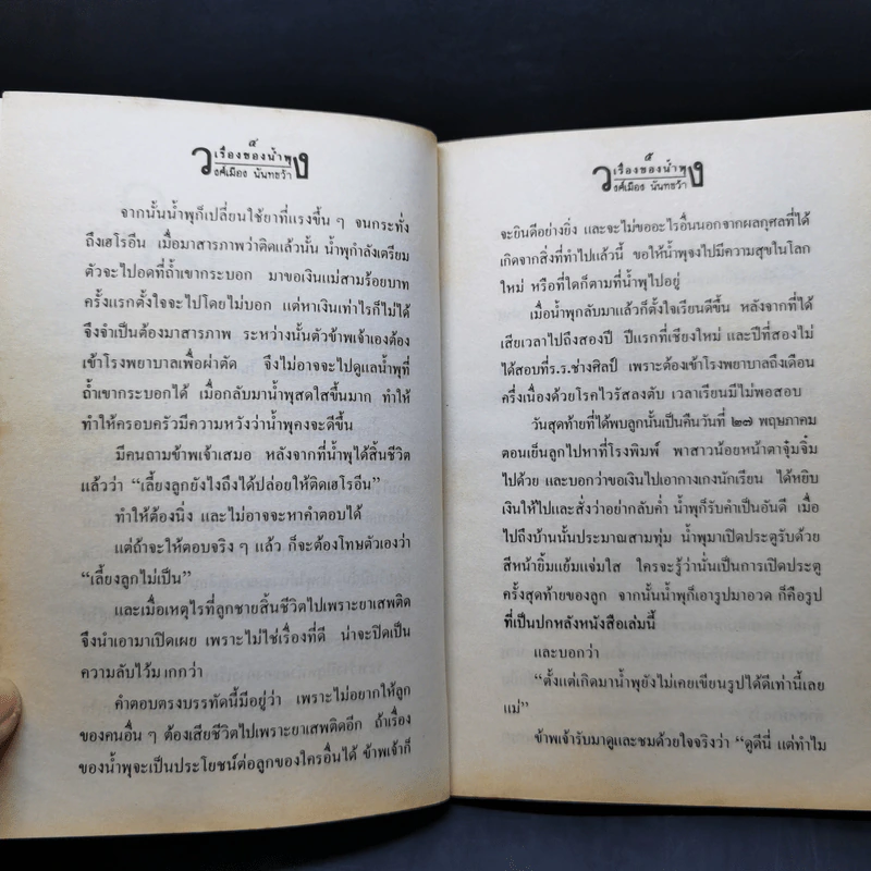 เรื่องของน้ำพุ - วงศ์เมือง นันทขว้าง รูปที่ 9