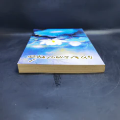 บันทึกสนทนาธรรม : ตามรอยพ่อ - จุ้มจะริง รูปที่ 6