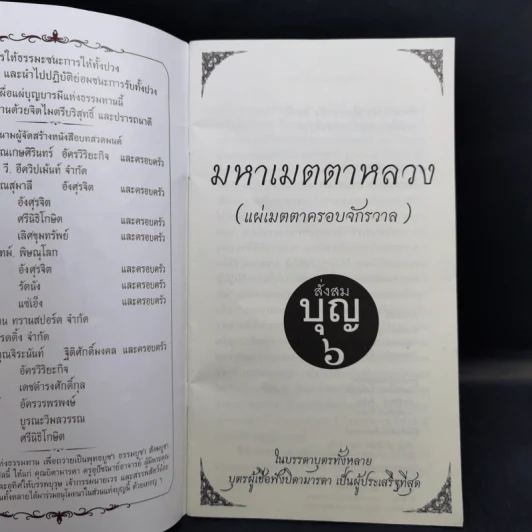 มหาเมตตาหลวง (แผ่เมตตาครอบจักรวาล) สั่งสมบุญ 6 รูปที่ 8
