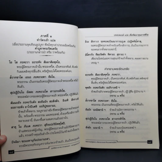 บทสวดมนต์แปลเพื่อพัฒนาคุณภาพชีวิต - ศูนย์พัฒนาเยาวชน (ค่ายพุทธบุตร) รูปที่ 13