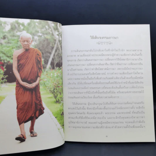 ปฏิบัติบูชา - ท่านพระอาจารย์พระมหาบัว ญาณสัมปันโน รูปที่ 12
