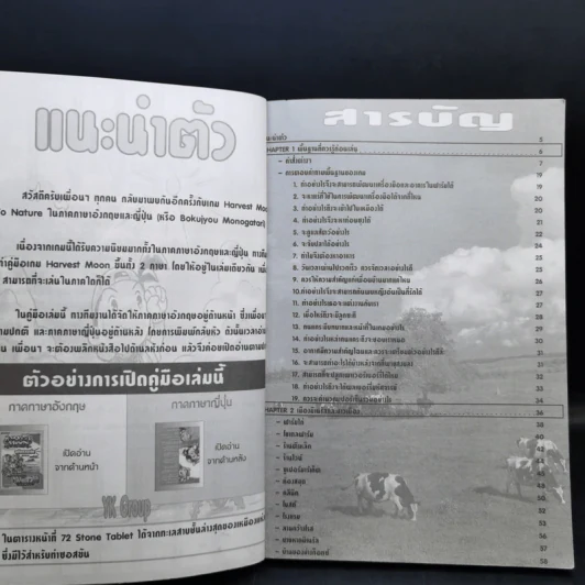 คู่มือเฉลยเกมส์ Harvest Moon Back to Nature ฉบับรวมเล่ม 2 ภาษา รูปที่ 9