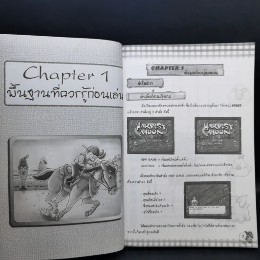 คู่มือเฉลยเกมส์ Harvest Moon Back to Nature ฉบับรวมเล่ม 2 ภาษา รูปที่ 11