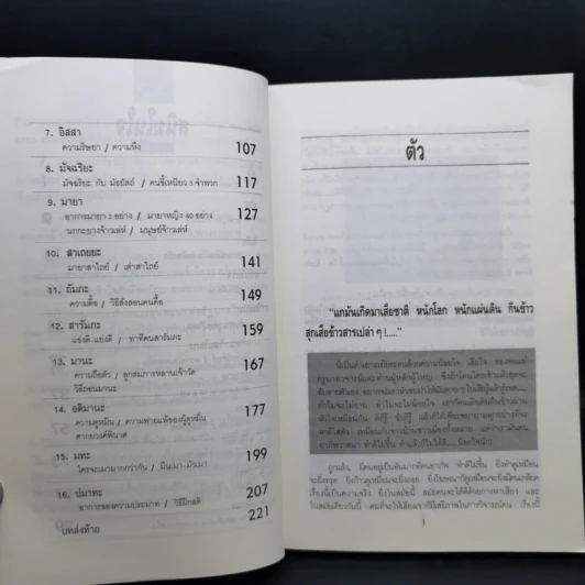 สนิมในใจ - พ.อ.ปิ่น มุทุกันต์ รูปที่ 13