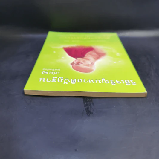 วิธีเจริญมหาสติปัฏฐาน เล่ม 1 (ฉบับย่อ) - สยาดอภัททันตวิโรจนะ รูปที่ 6