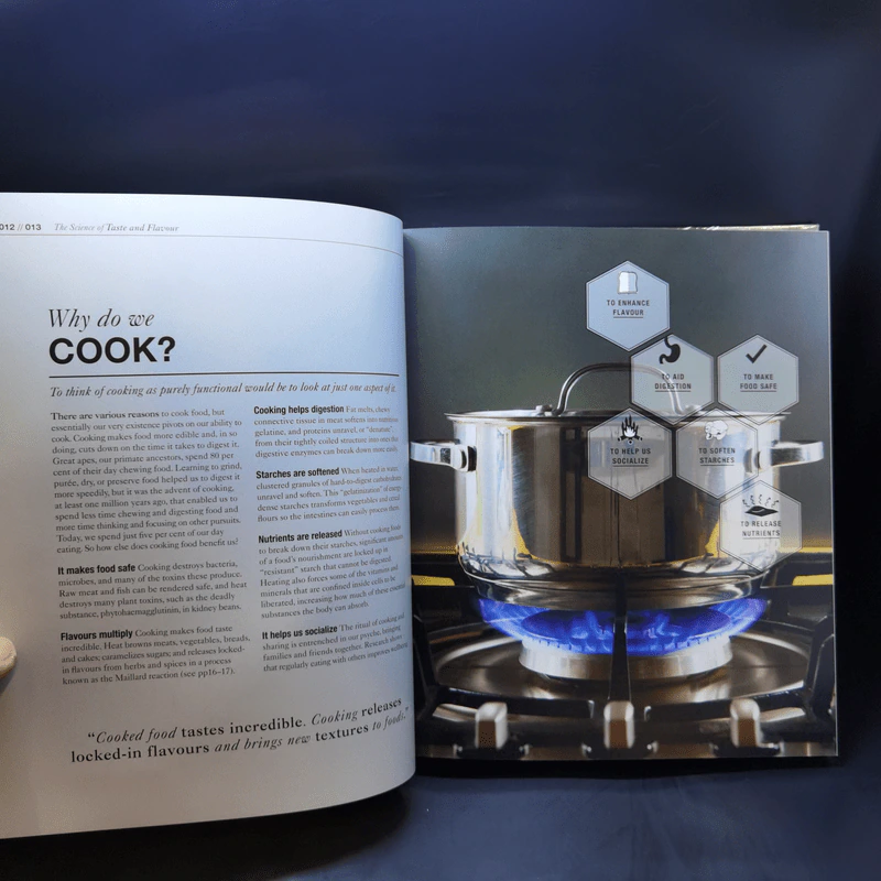The Science of Cooking + The Science of Spice รูปที่ 11