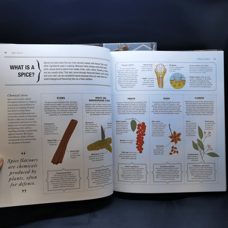 The Science of Cooking + The Science of Spice รูปที่ 15
