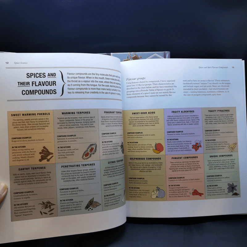 The Science of Cooking + The Science of Spice รูปที่ 16