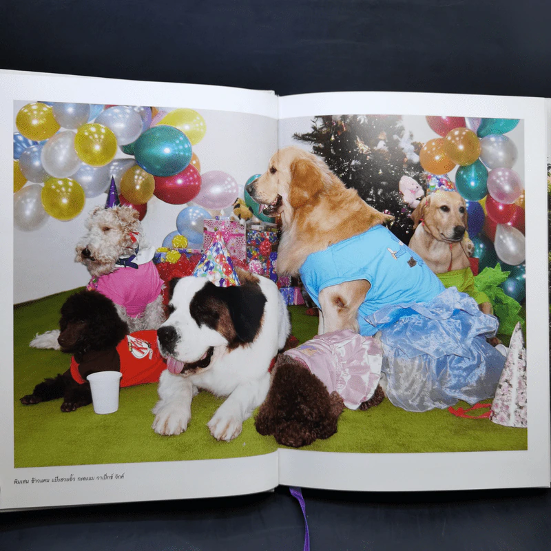 สัตว์เลี้ยงวังสระปทุม Diary 2549/2006 - สิรินธร รูปที่ 12