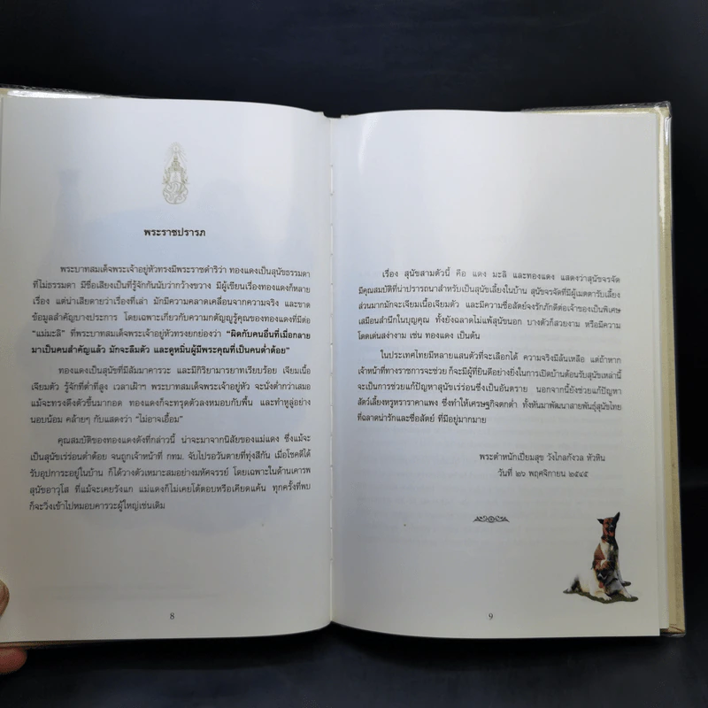 เรื่อง ทองแดง - พระบาทสมเด็จพระเจ้าอยู่หัวภูมิพลอดุลยเดช รูปที่ 11