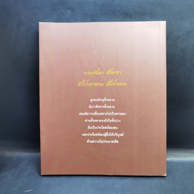 ปฏิบัติบูชา - ท่านพระอาจารย์พระมหาบัว ญาณสัมปันโน รูปที่ 2