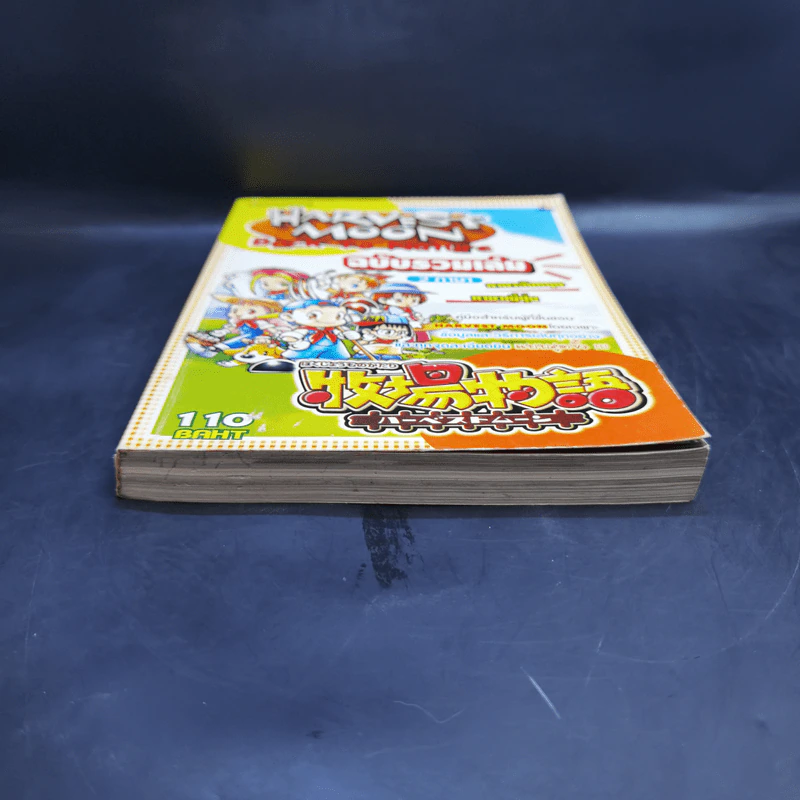 คู่มือเฉลยเกมส์ Harvest Moon Back to Nature ฉบับรวมเล่ม 2 ภาษา รูปที่ 4