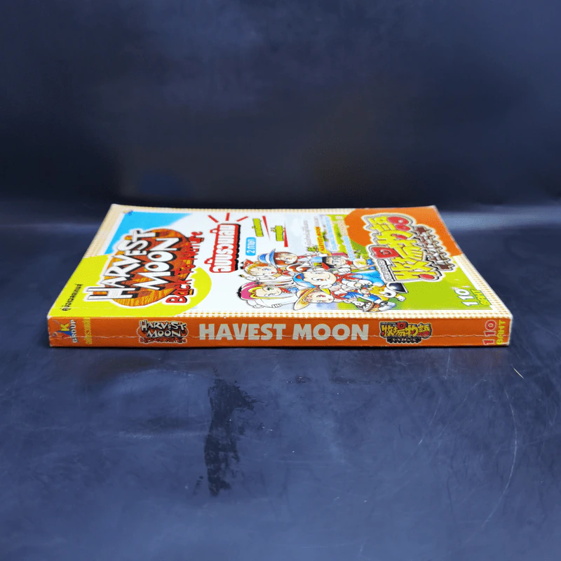 คู่มือเฉลยเกมส์ Harvest Moon Back to Nature ฉบับรวมเล่ม 2 ภาษา รูปที่ 3
