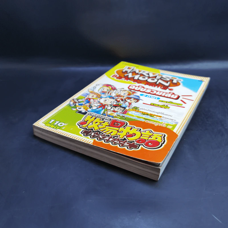 คู่มือเฉลยเกมส์ Harvest Moon Back to Nature ฉบับรวมเล่ม 2 ภาษา รูปที่ 7