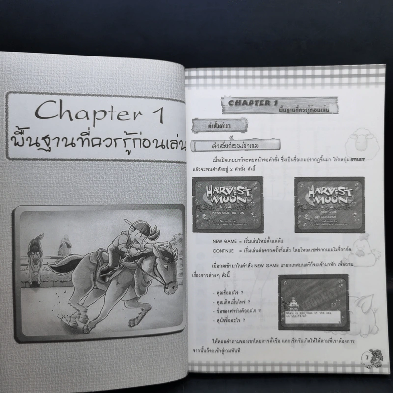 คู่มือเฉลยเกมส์ Harvest Moon Back to Nature ฉบับรวมเล่ม 2 ภาษา รูปที่ 11