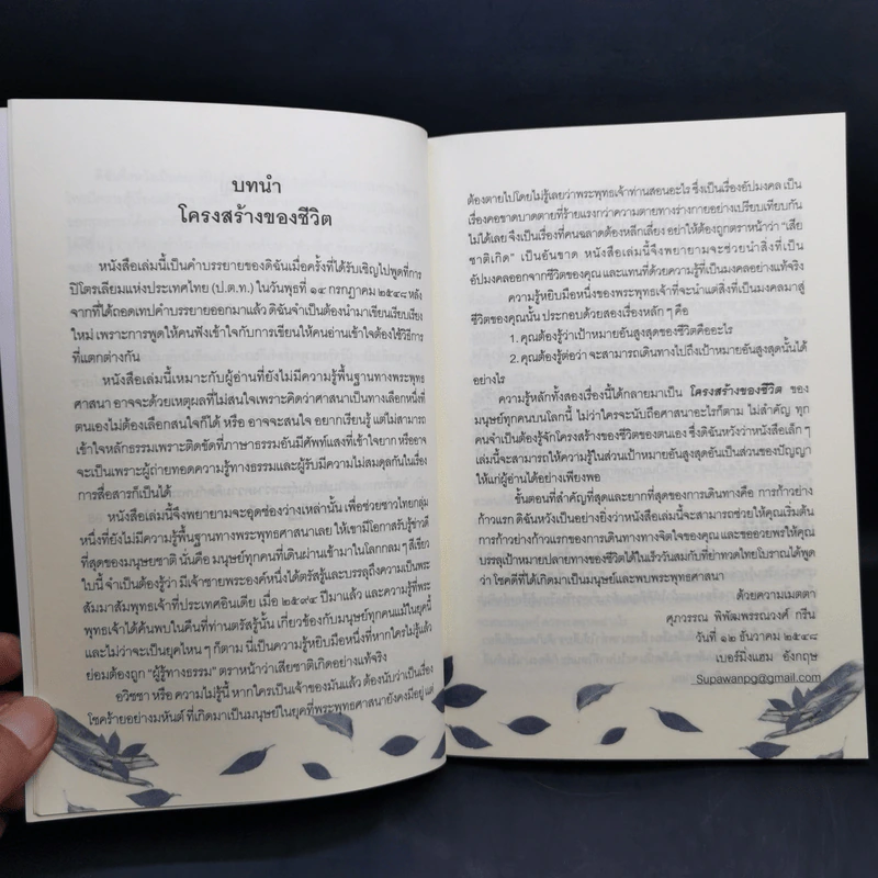 รู้เท่านี้ ก็พอแล้ว (พาตัวใจกลับบ้านกันเถิด) - ศุภวรรณ พิพัฒพรรณวงศ์ กรีน รูปที่ 11