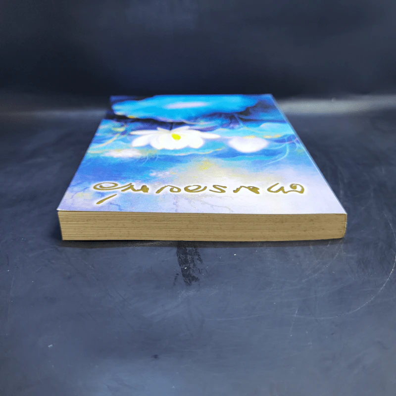 บันทึกสนทนาธรรม : ตามรอยพ่อ - จุ้มจะริง รูปที่ 6
