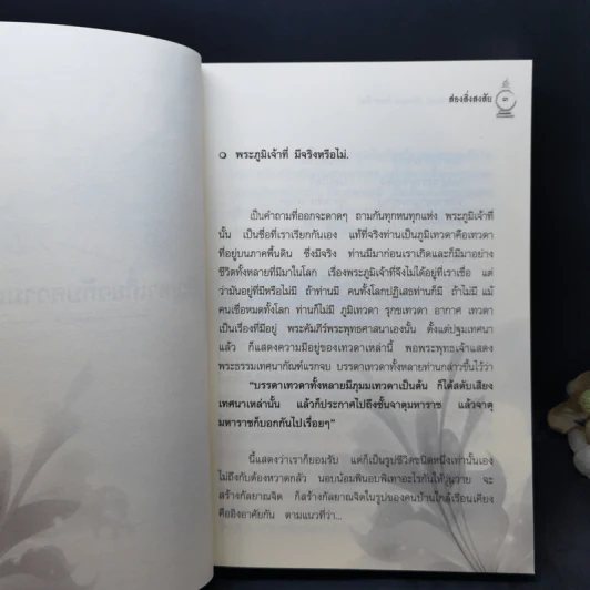 ส่องสิ่งสงสัย - พระธรรมเมธาภรณ์ (ระแบบ ฐิตญาโณ) รูปที่ 11