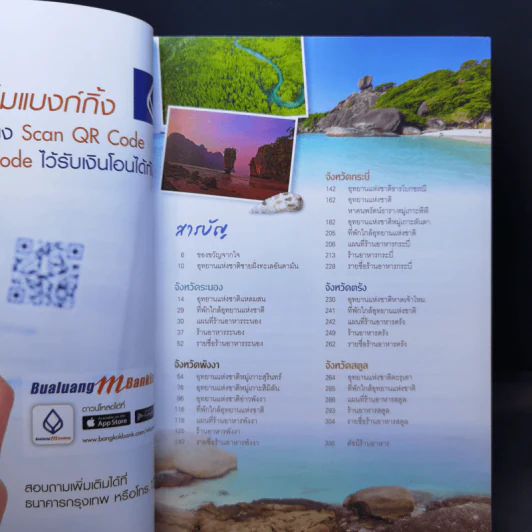 มหัศจรรย์อุทยานไทย แลเลล่องใต้ รูปที่ 9