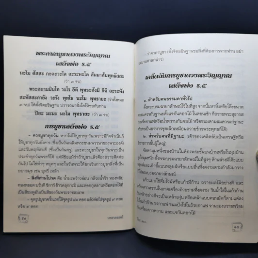 บทสวดมนต์ไหว้พระ เคล็ดวิธี กินอย่างไร-ไร้โรคภัย รูปที่ 12
