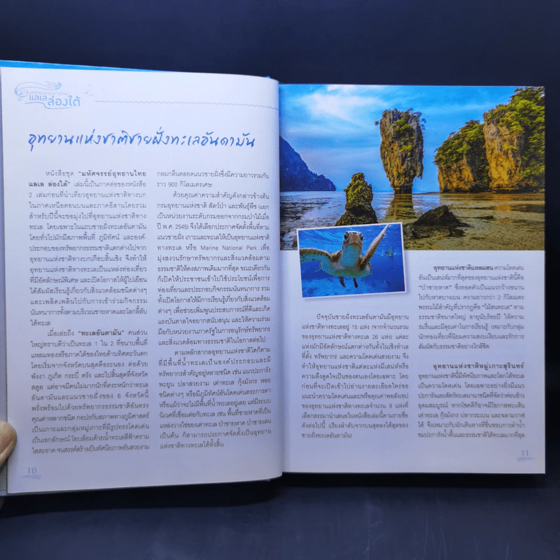 มหัศจรรย์อุทยานไทย แลเลล่องใต้ รูปที่ 10