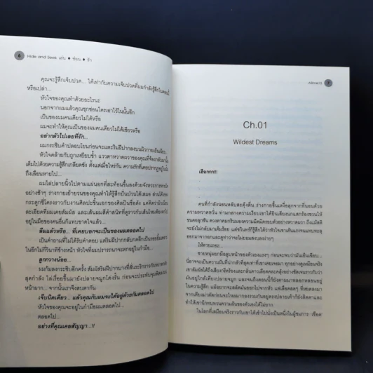 นิยายวาย Hide and Seek เล่น ซ่อน รัก - aiLime13 รูปที่ 10