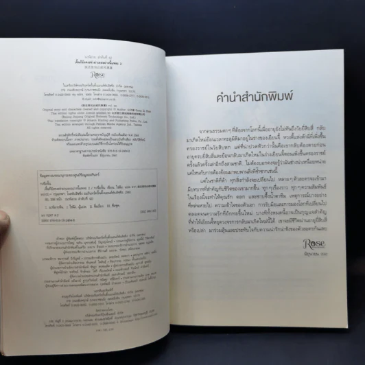 นิยายวาย เจิ้นก็ยังคงสง่าผ่าเผยอย่างนี้แหละ 2 เล่มจบ - กงจื่ออจ้าน (Gong Zi Zhan) รูปที่ 12