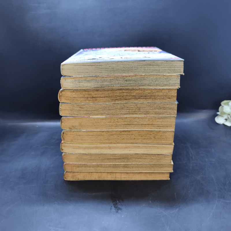 บ๊อก บ๊อก เล่ม 1-10 รูปที่ 3