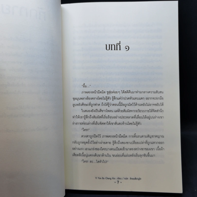 นิยายวาย ทาสรักเจ้าสำราญ 2 เล่มจบ - Yi Yan Bu Cheng Xia รูปที่ 9