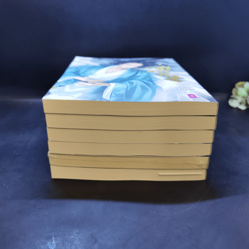 นิยายวาย เรื่องลึกลับแห่งชิงฮวา เล่ม 1-6 - เอ๋อเฟย รูปที่ 5