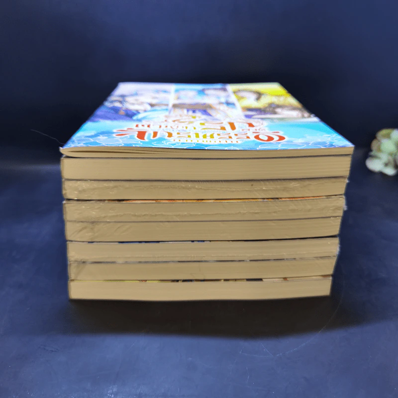 นิยายวาย ตำหนักรักองค์จักรพรรดิ ขายรวม 8 เล่ม (รวมเล่มเล็ก 1 เล่ม) รูปที่ 3